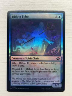 Didact Echo