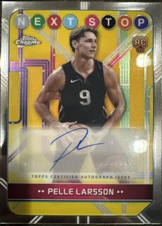 Pelle Larsson