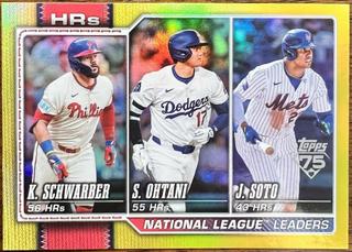 National League Leaders HRs