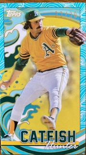 Catfish Hunter