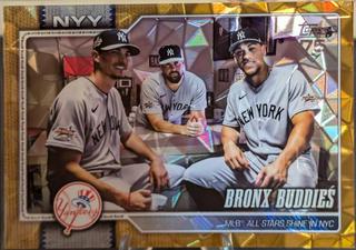 Bronx Buddies