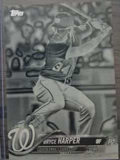 Bryce Harper