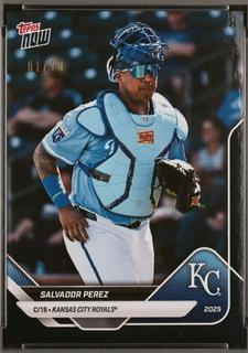 Salvador Perez