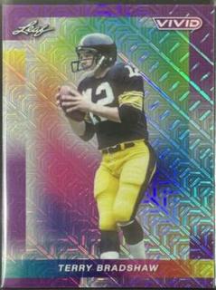 Terry Bradshaw