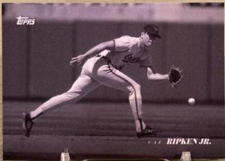 Cal Ripken Jr