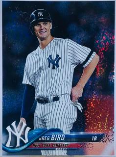 Greg Bird