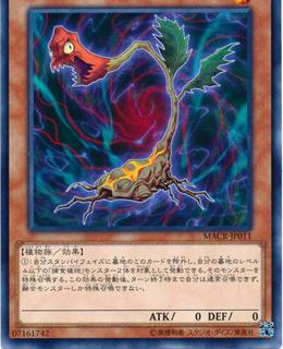 Predaplant Cordyceps MACR-JP011