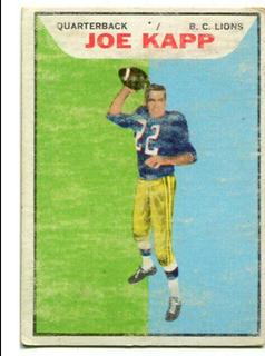 Joe Kapp