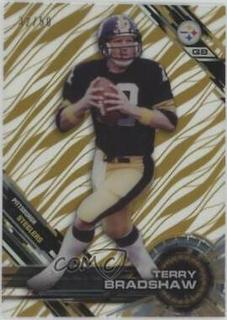 Terry Bradshaw