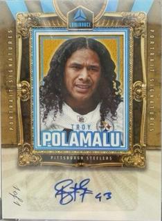 Troy Polamalu