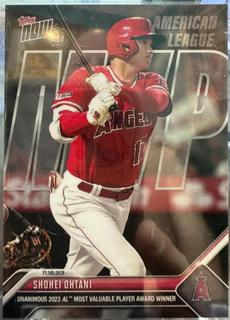 Shohei Ohtani
