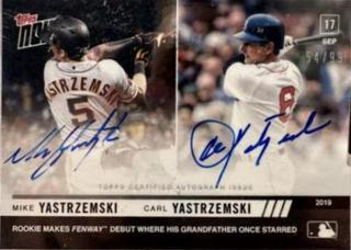 Carl Yastrzemski, Mike Yastrzemski