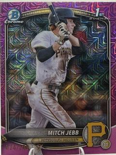 Mitch Jebb