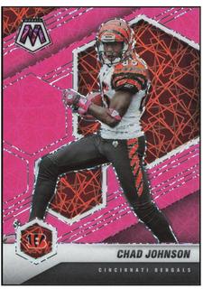Chad Johnson