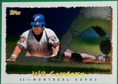 Wil Cordero #70 Baseball Cards 1995 Topps Cyberstats