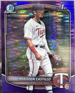 Haritzon Castillo