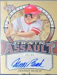 Johnny Bench