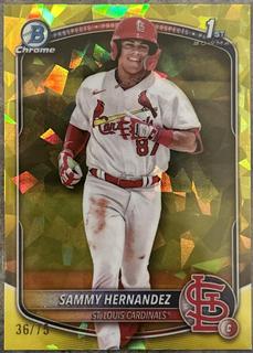Sammy Hernandez