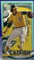 Catfish Hunter