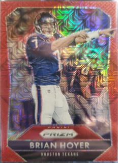Brian Hoyer