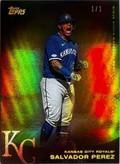 Salvador Perez
