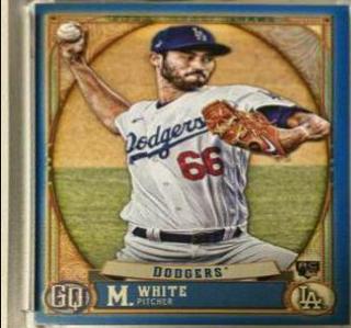 Mitch White