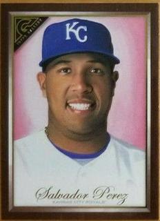 Salvador Perez