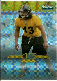Troy Polamalu