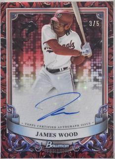 James Wood