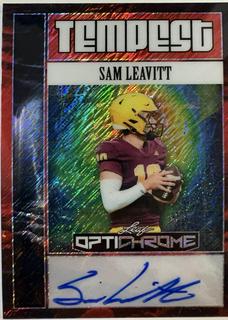 Sam Leavitt