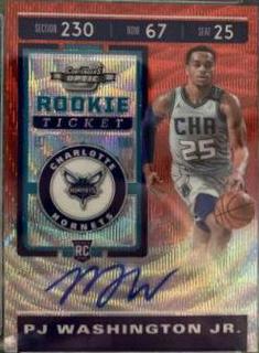PJ Washington Jr.