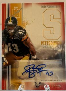 Troy Polamalu