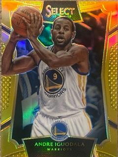 Andre Iguodala