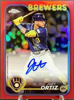 Joey Ortiz