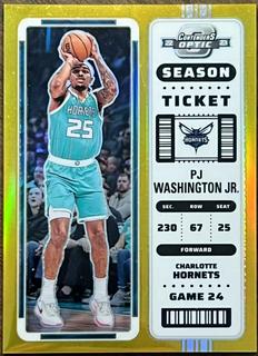 PJ Washington Jr.