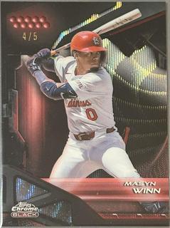Masyn Winn