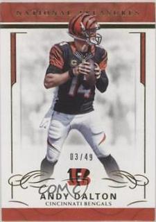 Andy Dalton