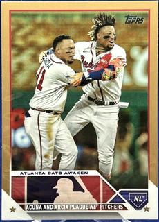 Atlanta Bats Awaken