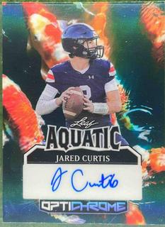 Jared Curtis