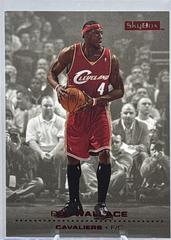 Ben Wallace [Ruby] #28 Basketball Cards 2008 Skybox Prices