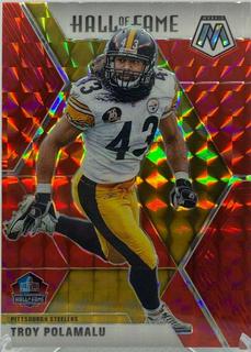Troy Polamalu