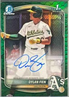 Dylan Fien