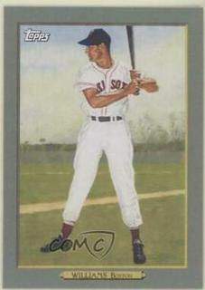 Ted Williams