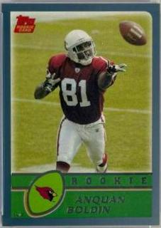 Anquan Boldin