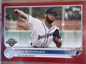 Sam Bachman