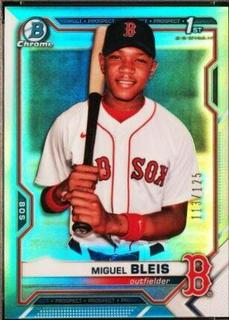 Miguel Bleis