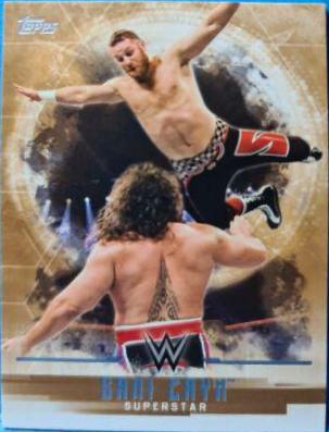Sami Zayn #32 Wrestling Cards 2017 Topps WWE Undisputed