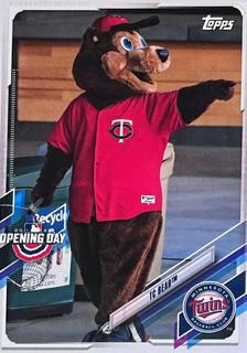 TC Bear