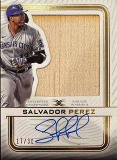 Salvador Perez