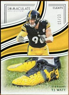 T.J. Watt